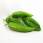 500g de Poivron cornu des andes vert