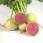 500g de Radis Red Meat