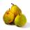 3 Grosses Poires Comice