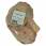 Poulet - 2 cuisses - 800g