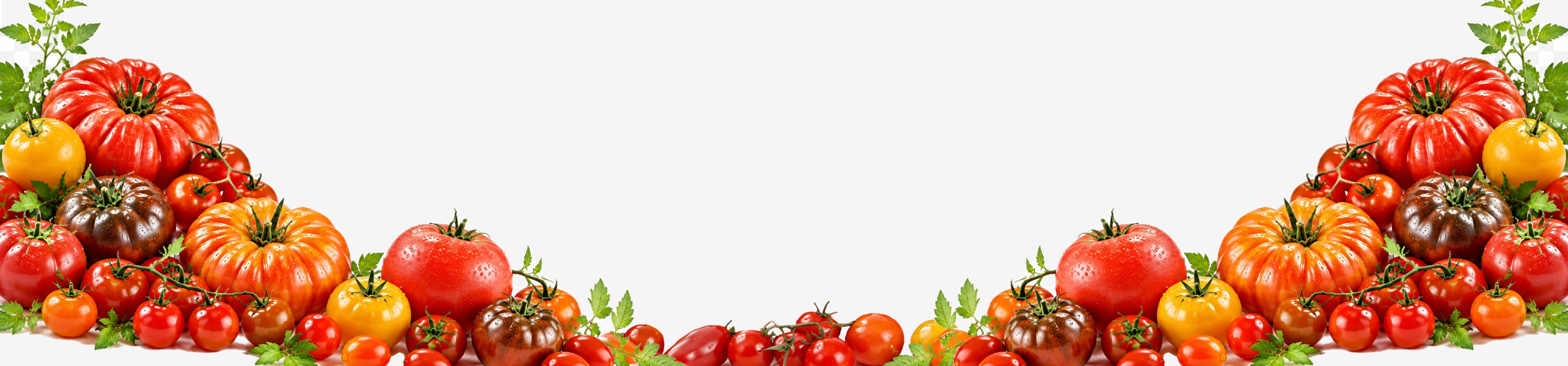 https://g61aabicng.preview.infomaniak.website/77-tomates